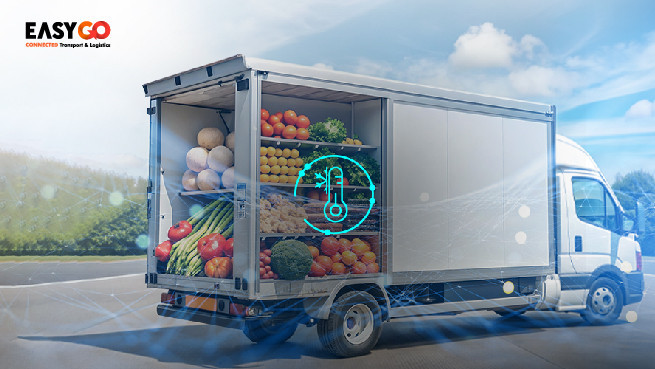 Optimalkan Cold Chain Logistics dengan TMS dan Sensor Suhu Kendaraan
