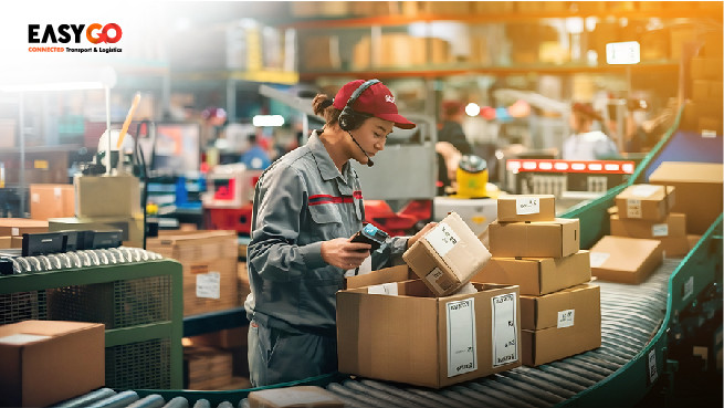 Menyortir Barang: Kunci Efisiensi dalam Manajemen Logistik Modern